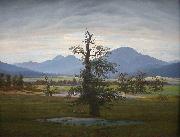 Caspar David Friedrich Landscape with Solitary Tree France oil painting artist